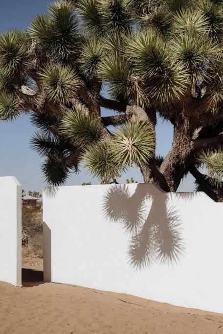 Le Chacuel Villa Joshua Tree Buitenkant foto