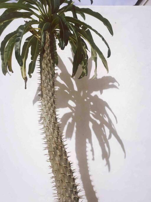 Le Chacuel Villa Joshua Tree Buitenkant foto